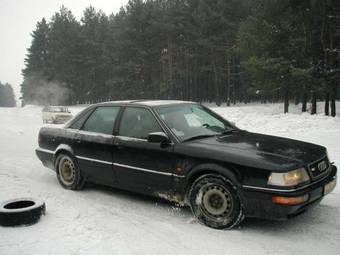 1991 V8