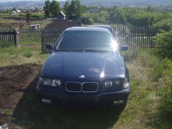 1995 BMW 3-Series For Sale
