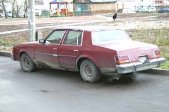 1981 Century