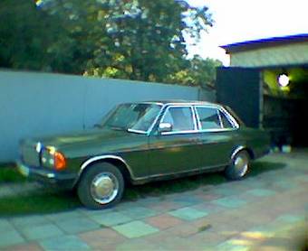 Mercedez Benz on 1980 Mercedes Benz 300d Pics   Car Pictures Gallery