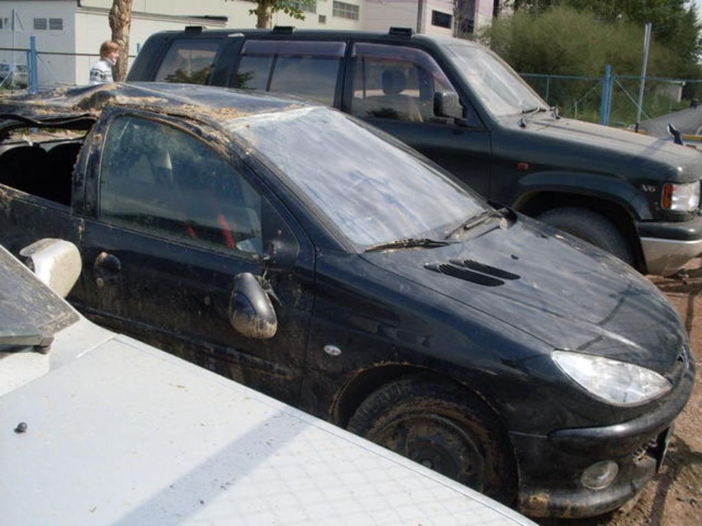 2007 Peugeot 206