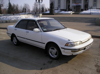   1991  img-1