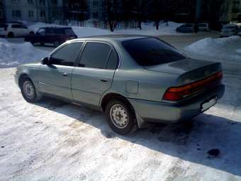 1993 Corolla