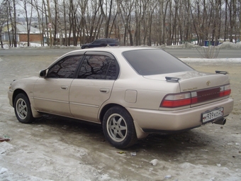 1995 Toyota Corolla