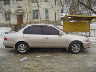 1995 Corolla