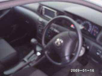 2003 Toyota Corolla Runx Pics