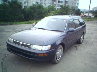 1991 Toyota Corolla Wagon