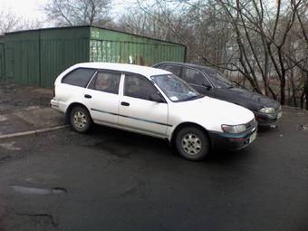 Corolla Wagon