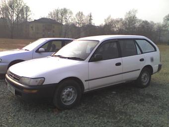 1992 Toyota Corolla Wagon