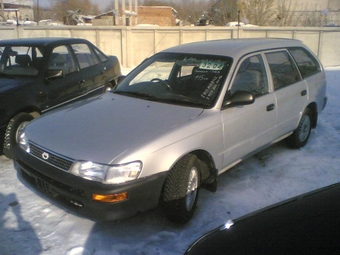 1993 Toyota Corolla Wagon