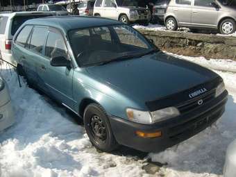 1995 Toyota Corolla Wagon