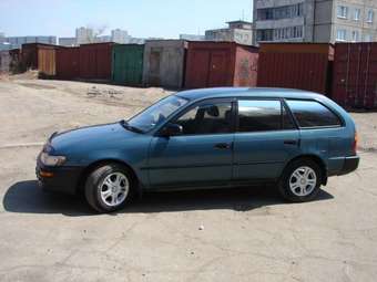 1996 Toyota Corolla Wagon