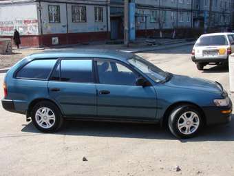 1996 toyota corolla station wagon review #4 1996 toyota corolla station wagon review #4
