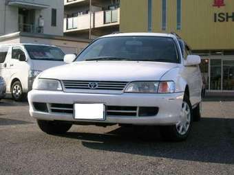 1999 Toyota Corolla Wagon Pics