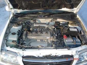 1999 Corona Premio