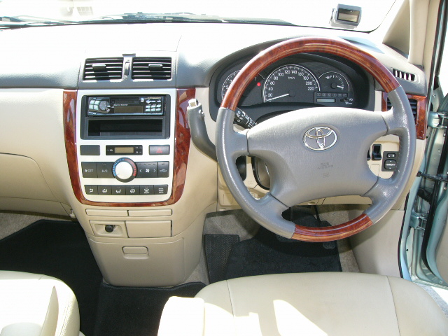 2002 Toyota Picnic