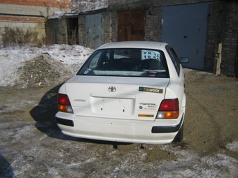 Tercel