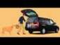 2002 Toyota Succeed picture