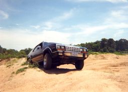 AMC Eagle