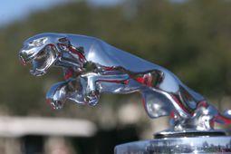 Jaguar Cars