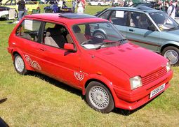 Rover Metro