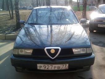 1994 Alfa Romeo 155 Photos