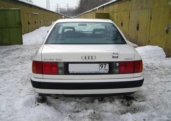 1991 100