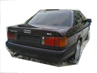 1992 100