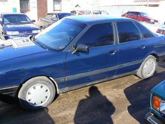 1988 Audi 80 Pictures