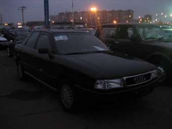 1991 Audi 80