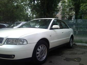 2000 Audi A4 Photos