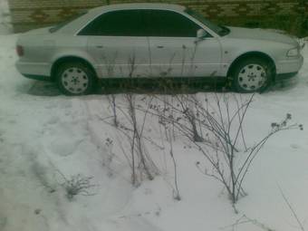 1995 Audi A8 Pictures
