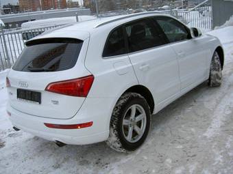 2010 Audi Q5 Pictures