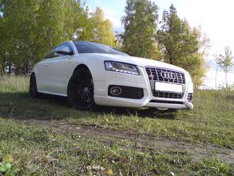 2008 Audi S5 Pictures