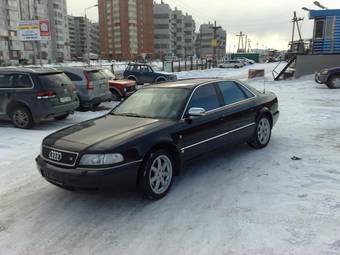 1995 Audi S8 Pictures