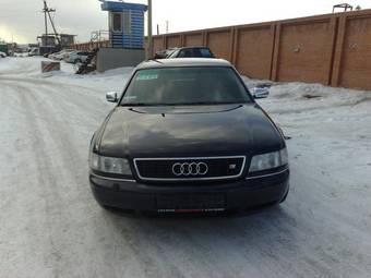 1995 Audi S8 Pics