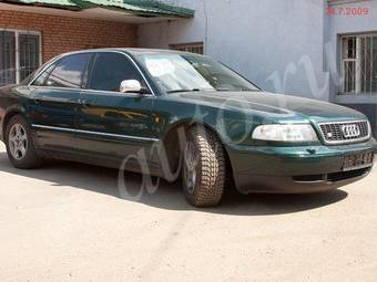 1998 Audi S8 Pictures