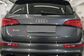 SQ5 8RB 3.0 TFSI quattro tiptronic (354 Hp) 