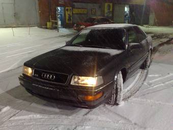 1992 Audi V8 Pics