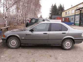 1991 BMW 3-Series Pictures