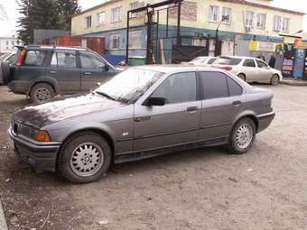 1991 BMW 3-Series Pictures
