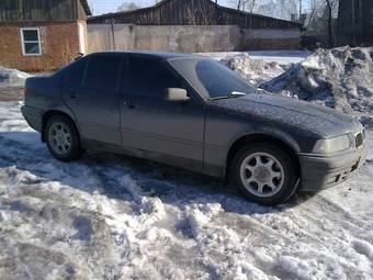 1991 BMW 3-Series Photos