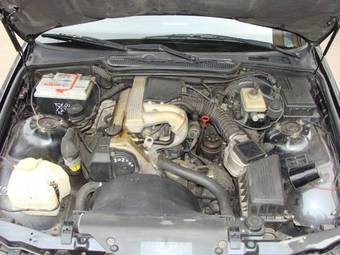 1991 BMW 3-Series Pictures