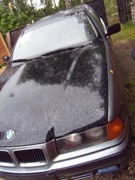 1991 BMW 3-Series Pictures