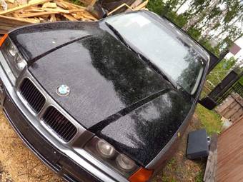 1991 BMW 3-Series Photos