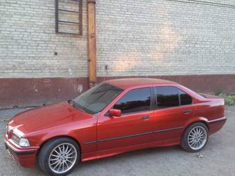1991 BMW 3-Series Photos