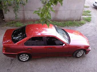 1991 BMW 3-Series Images