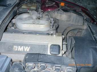 1993 BMW 3-Series Photos