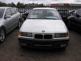 1993 BMW 3-Series Pictures