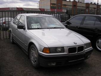 1993 BMW 3-Series Pictures